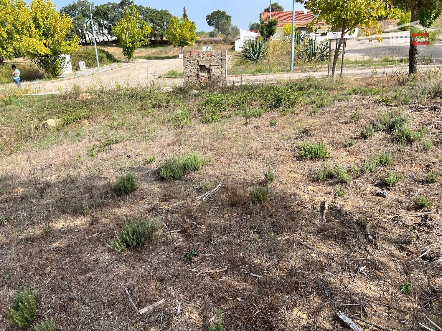 te koop terrein Mouriscas Abrantes 3