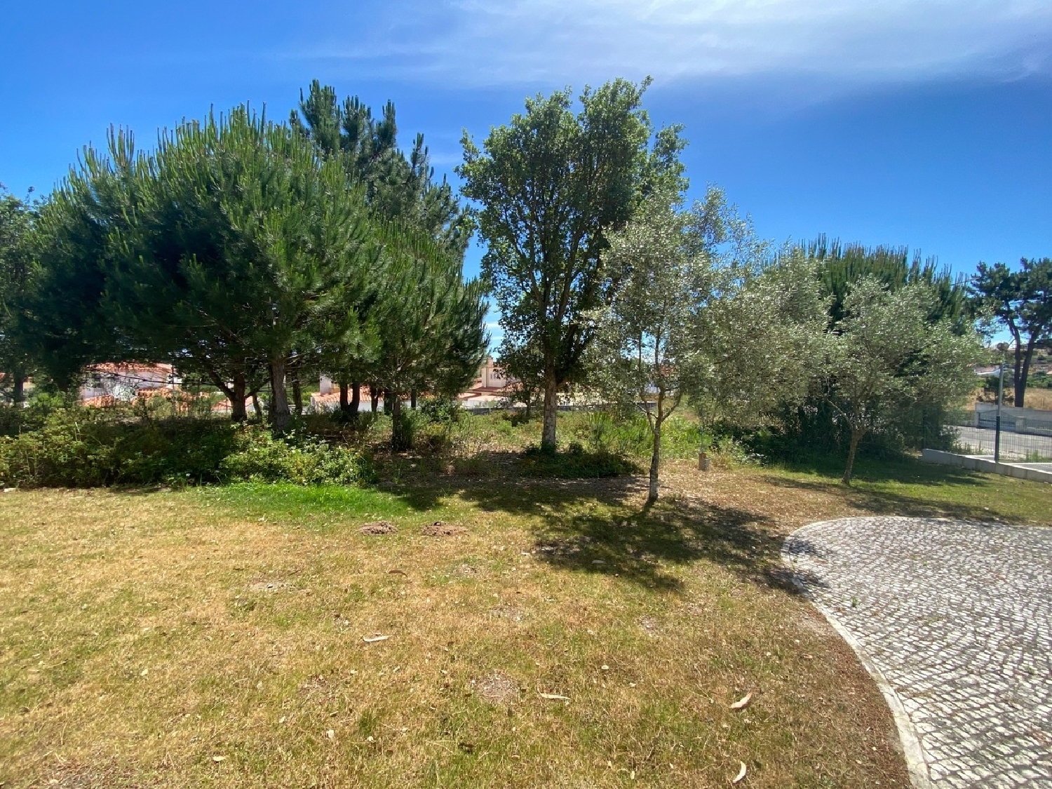  te koop terrein Nadadouro Caldas Da Rainha 3