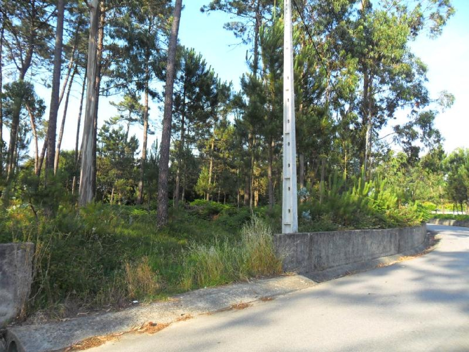  te koop terrein Navais Póvoa De Varzim 1