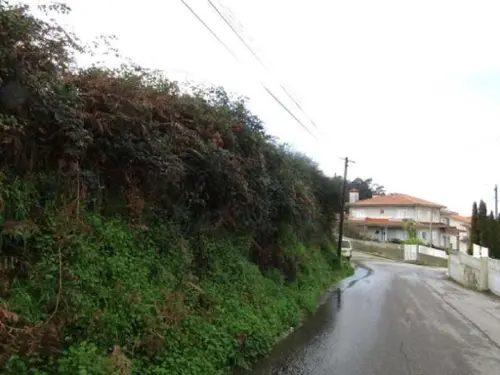 Nogueira da Regedoura Santa Maria Da Feira terrain foto 318782