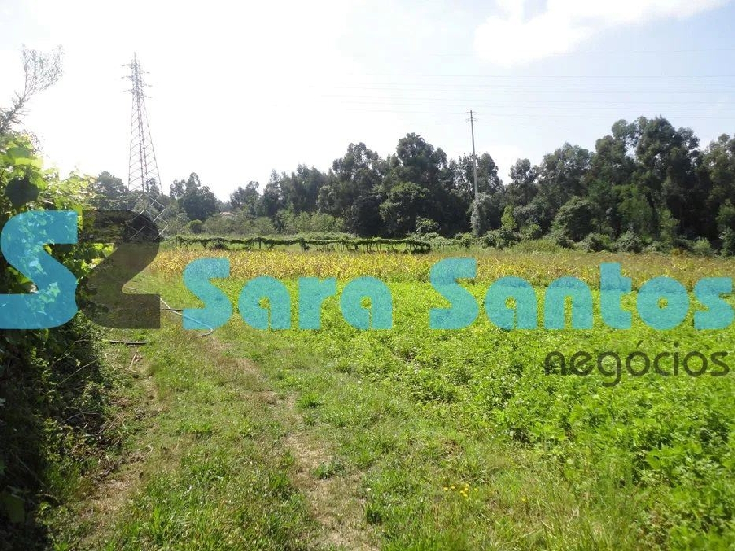  te koop terrein Nogueira da Regedoura Santa Maria Da Feira 1