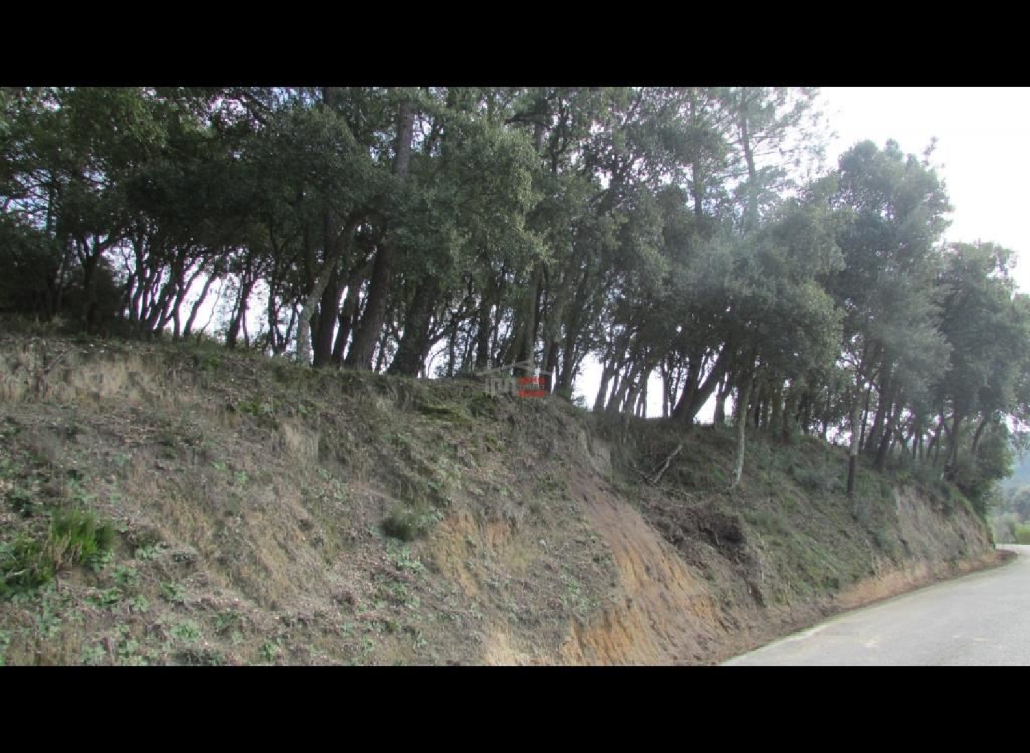 à venda terreno Nossa Senhora da Piedade Odemira 3