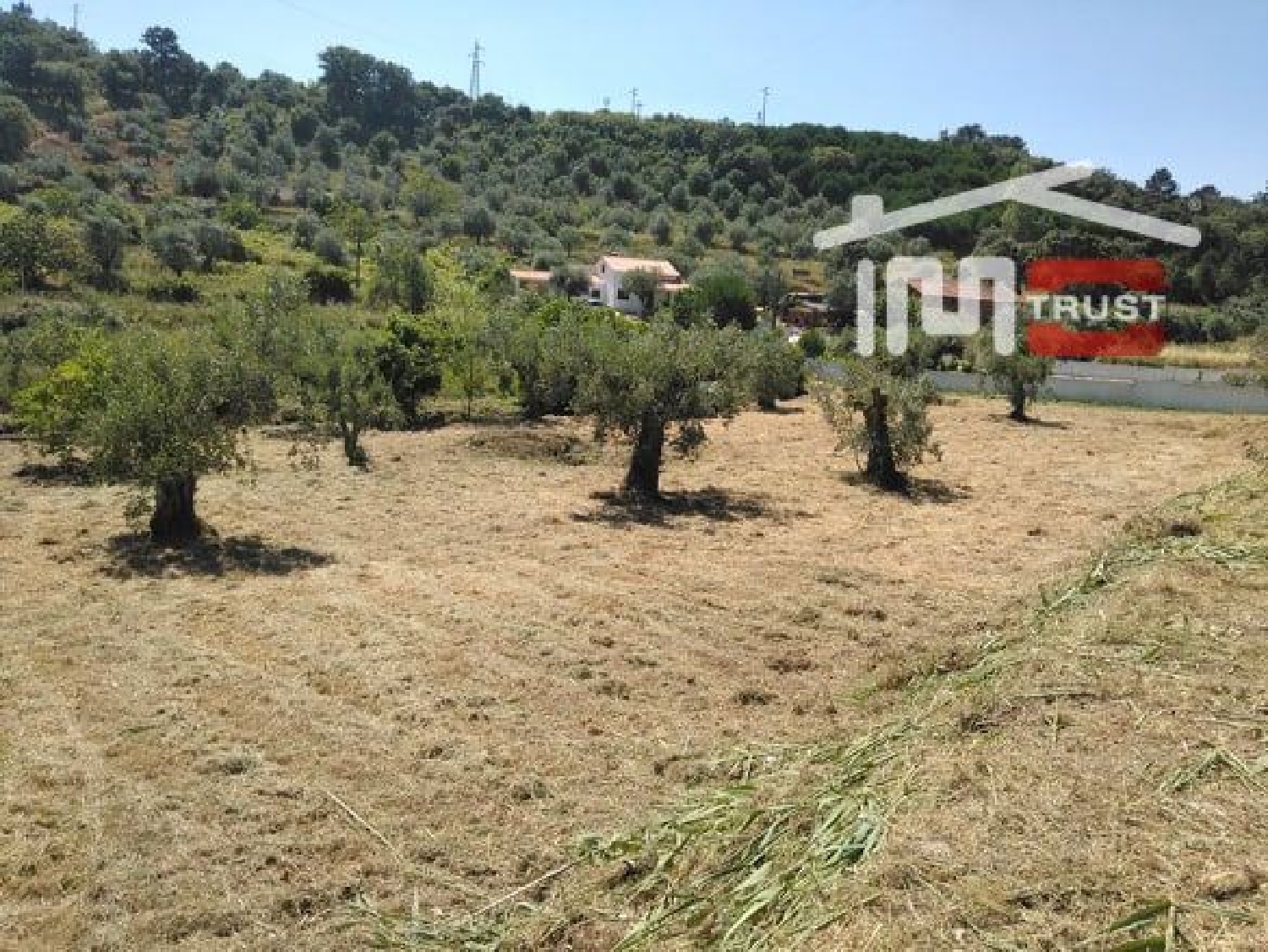  à venda terreno Nossa Senhora da Piedade Odemira 1