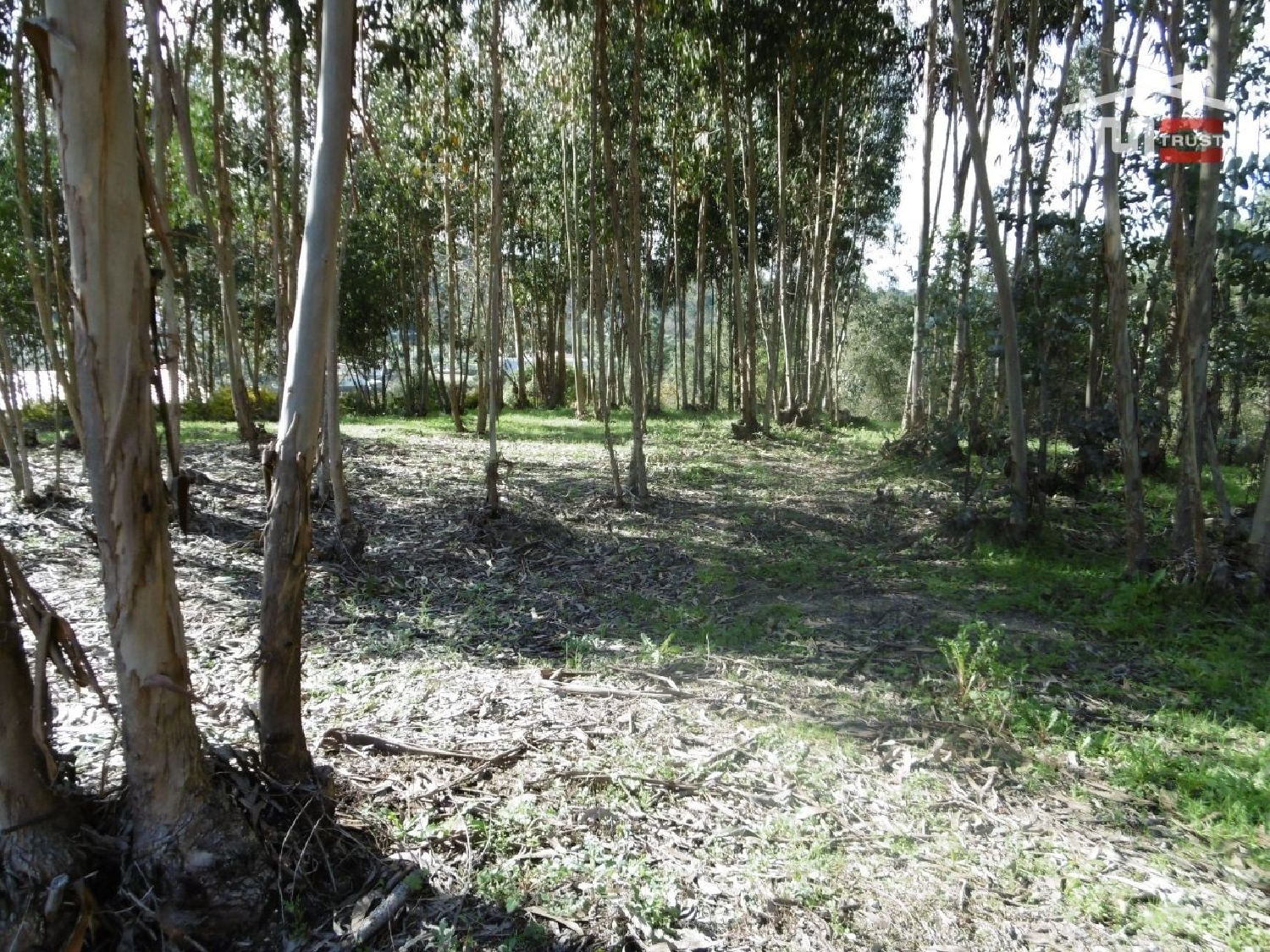  à venda terreno Nossa Senhora da Piedade Odemira 1