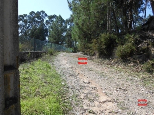 Nossa Senhora da Piedade Odemira terreno foto 326573