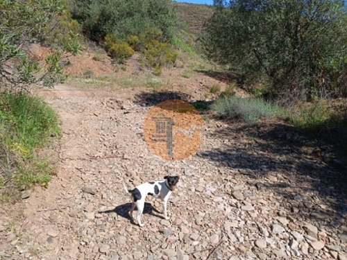 Odeleite Castro Marim terreno foto