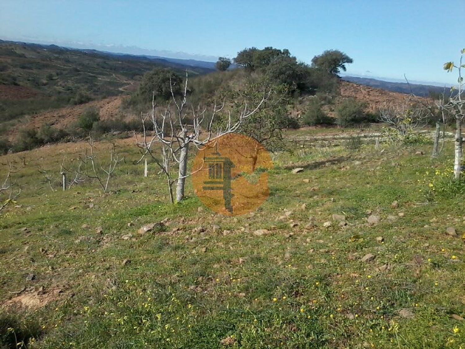  à vendre terrain Odeleite Castro Marim 6