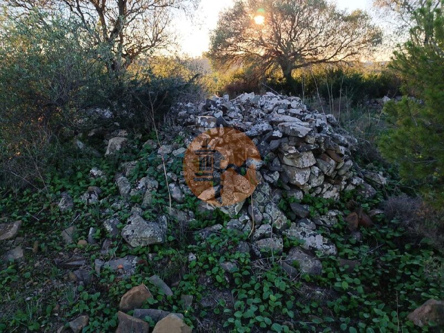  à vendre terrain Odeleite Castro Marim 3