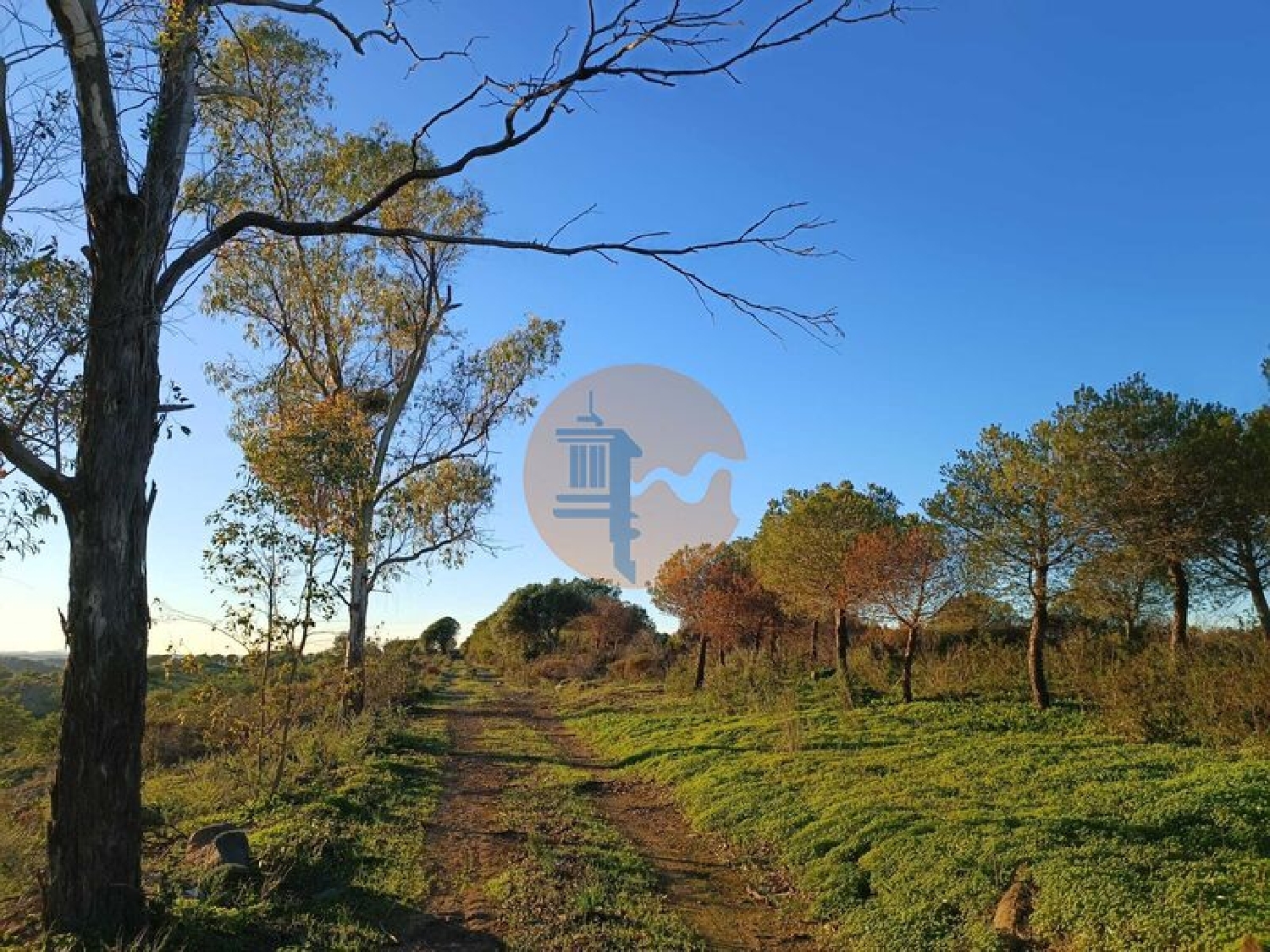  à vendre terrain Odeleite Castro Marim 4