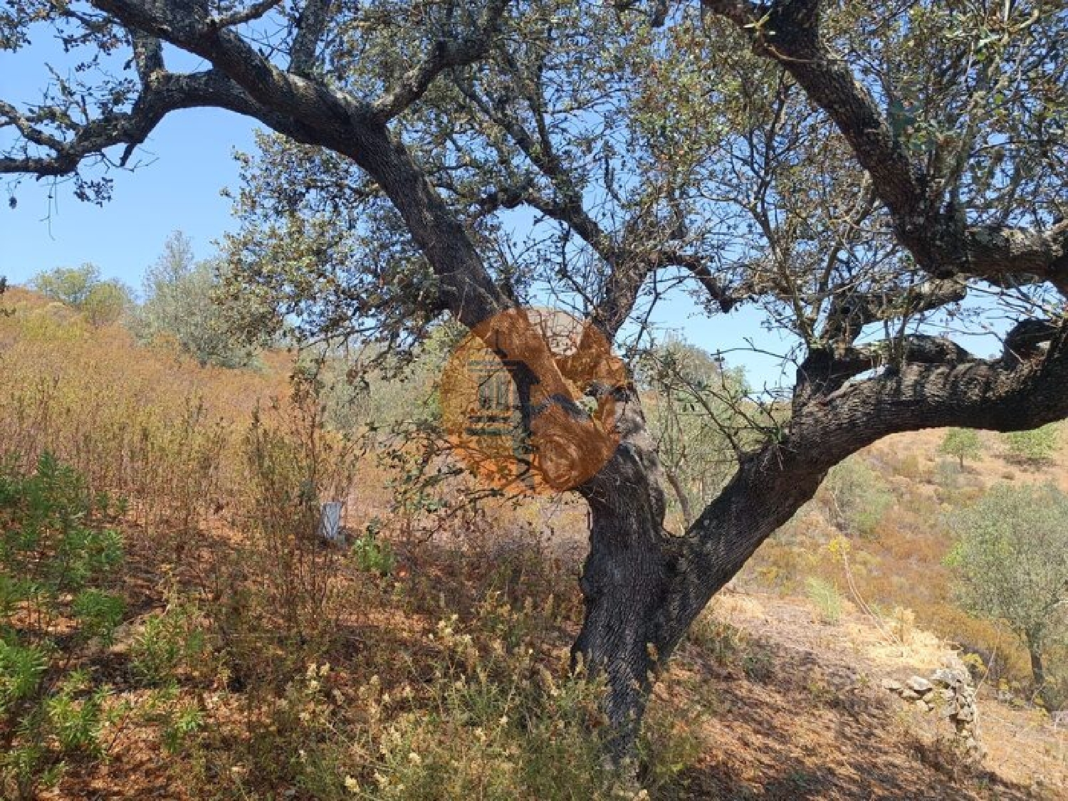  à venda terreno Odeleite Castro Marim 4
