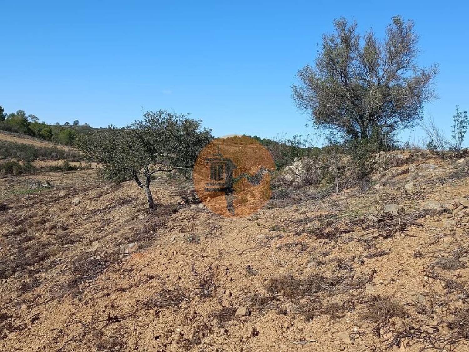  à venda terreno Odeleite Castro Marim 4