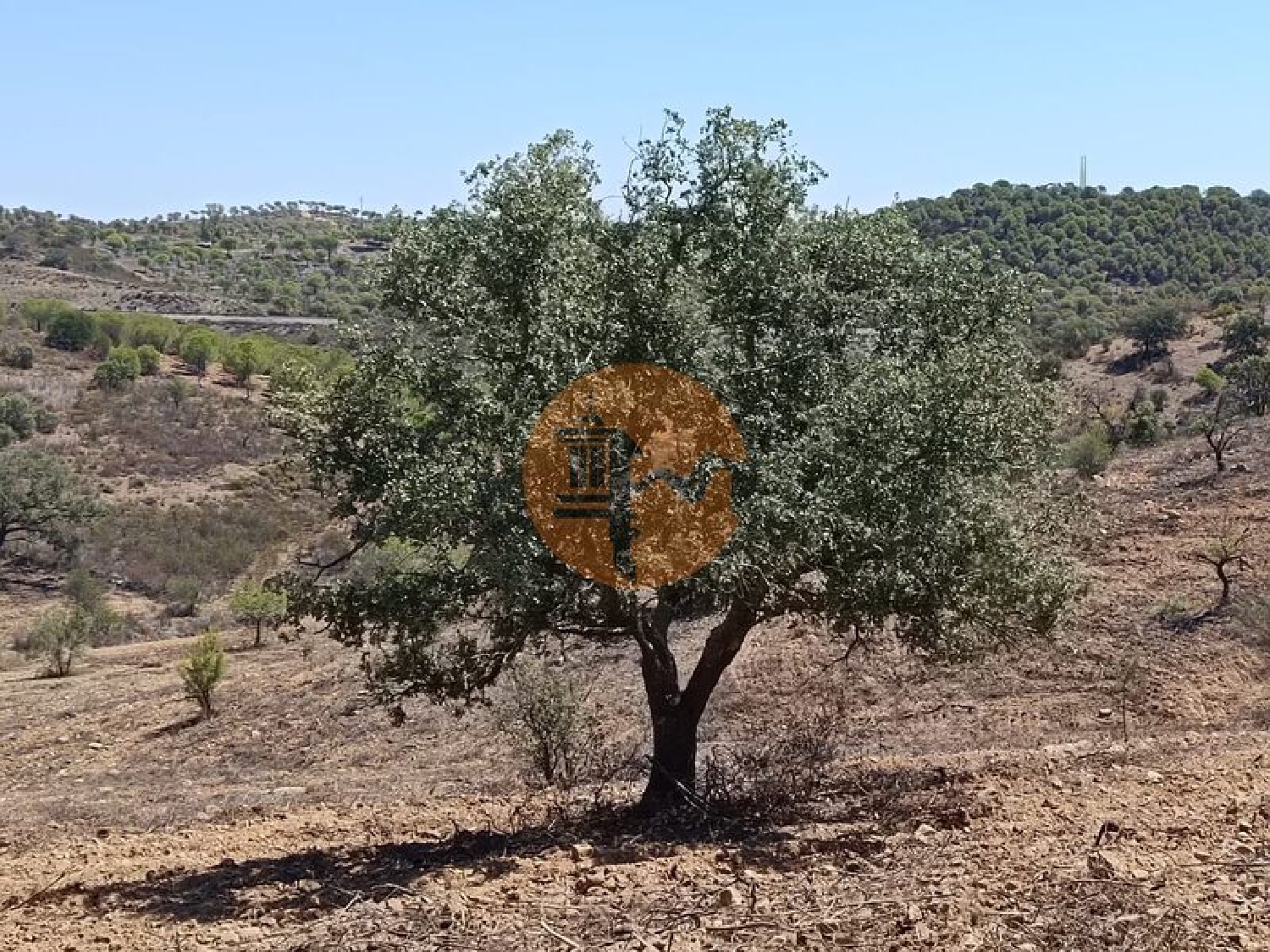  à venda terreno Odeleite Castro Marim 7