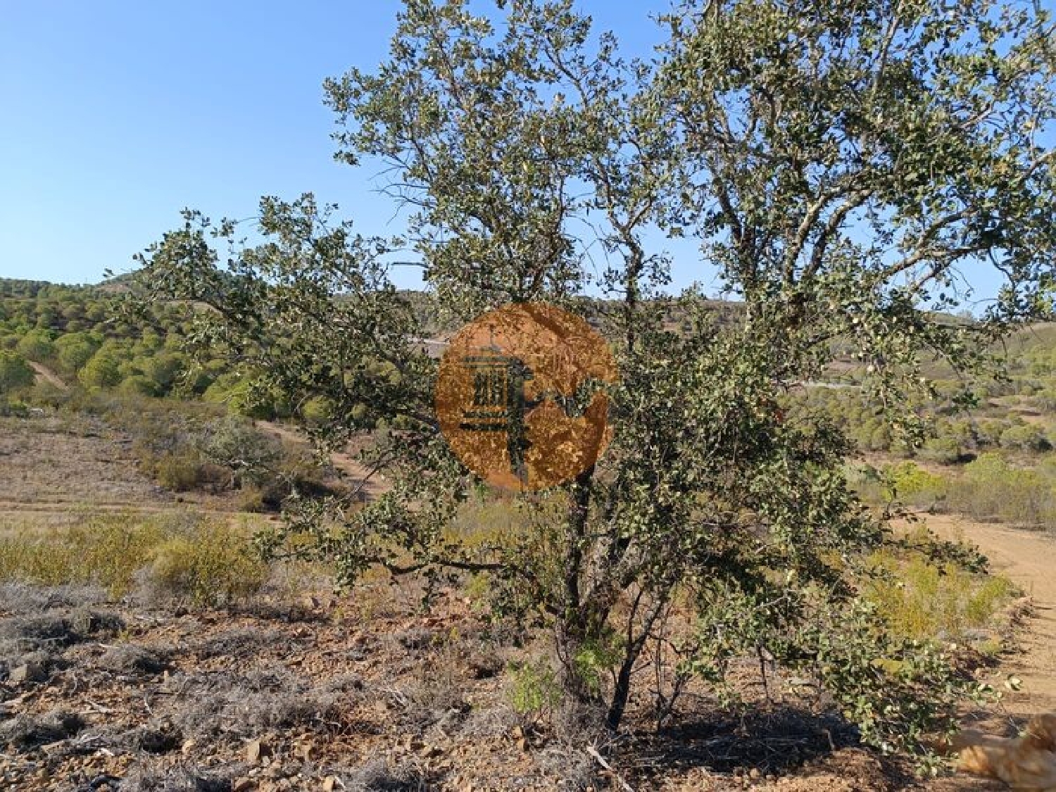  à venda terreno Odeleite Castro Marim 3