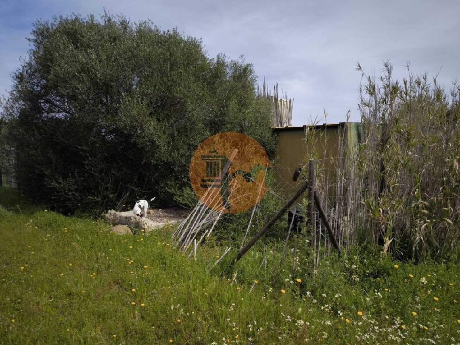  en venta terreno Odeleite Castro Marim 3