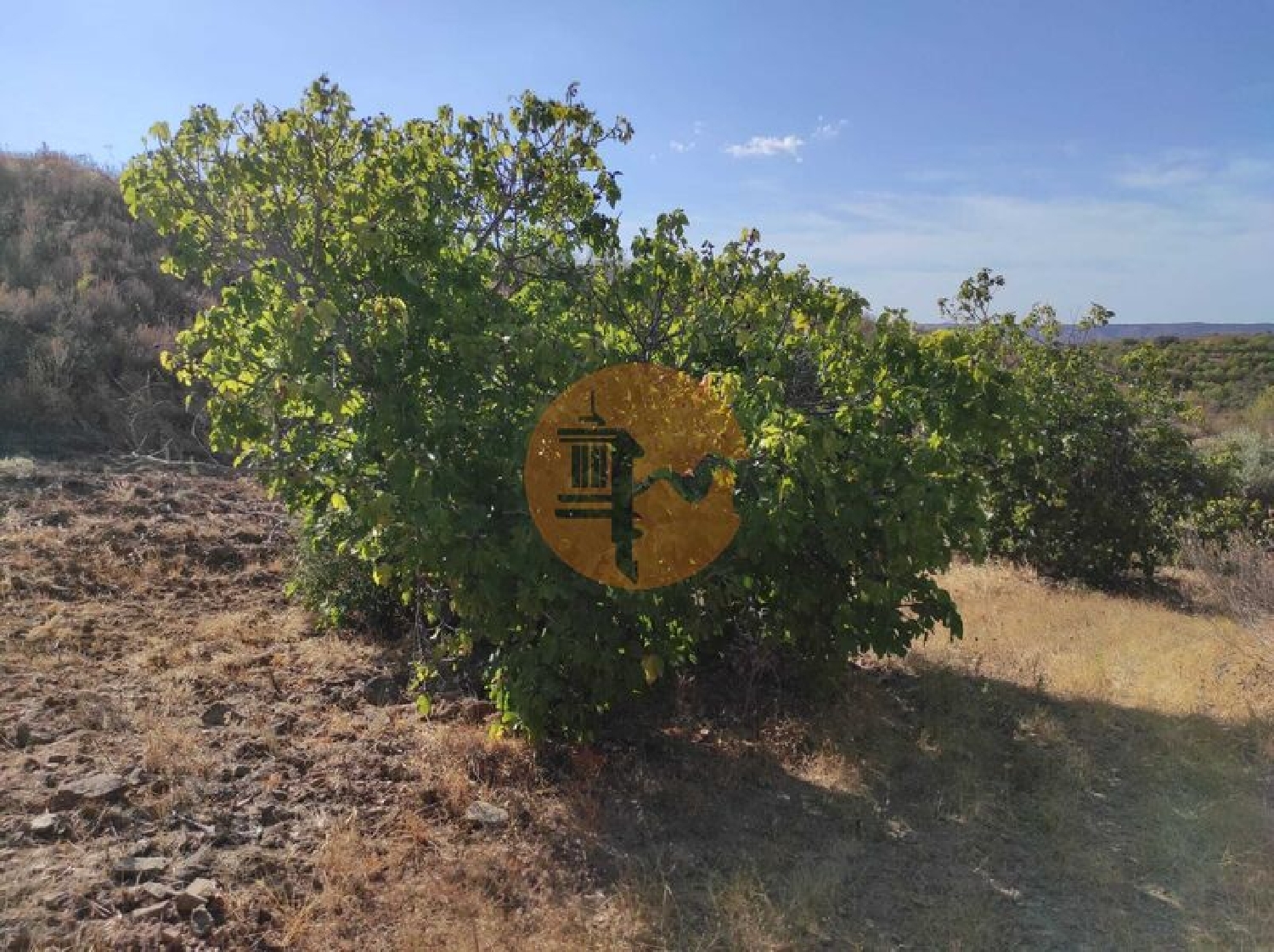  en venta terreno Odeleite Castro Marim 2