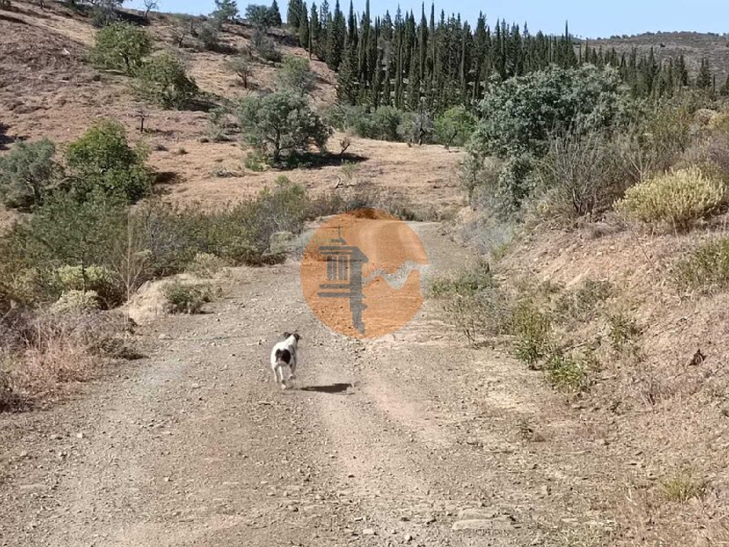  à vendre terrain Odeleite Castro Marim 6