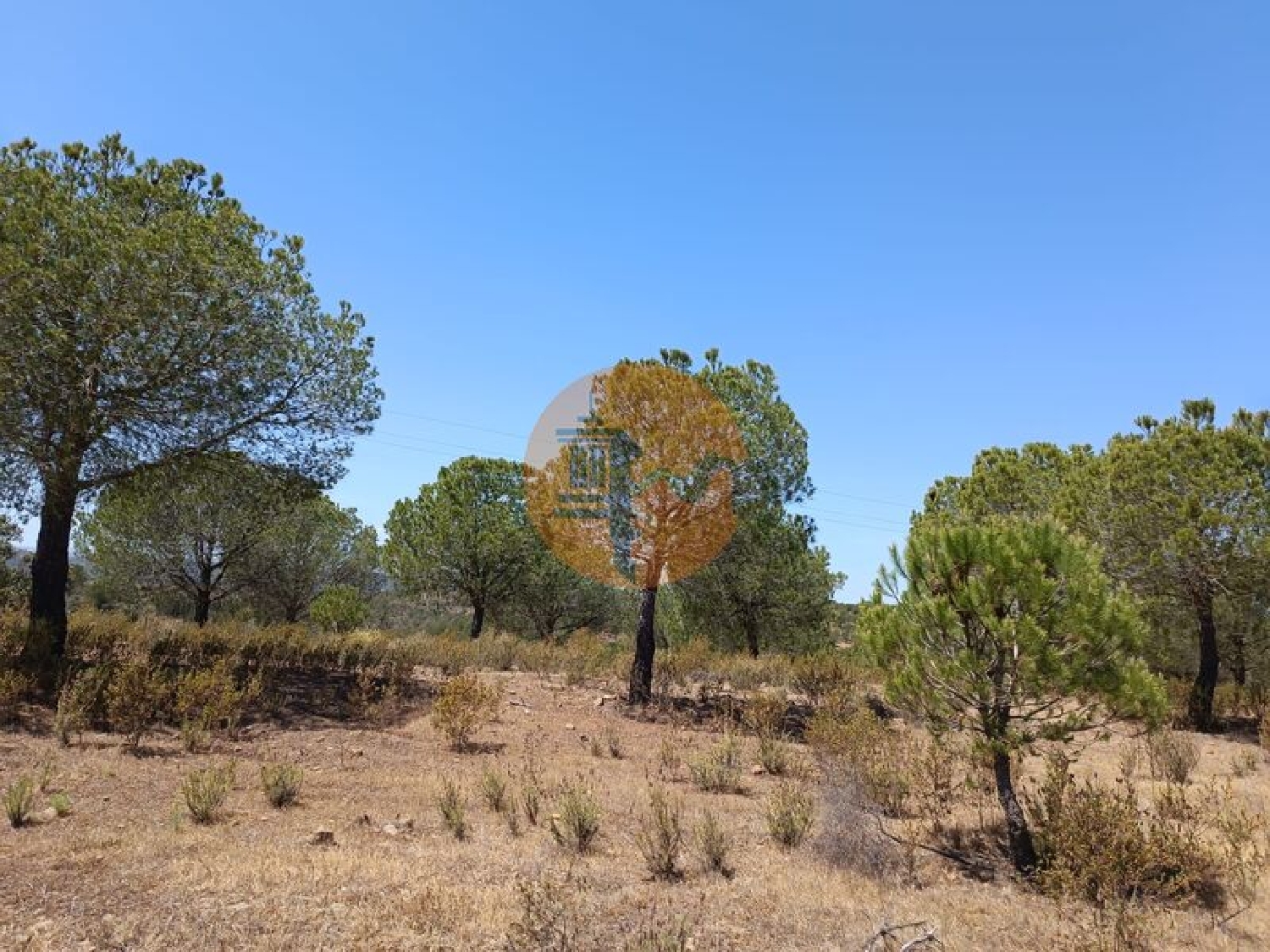  en venta terreno Odeleite Castro Marim 2