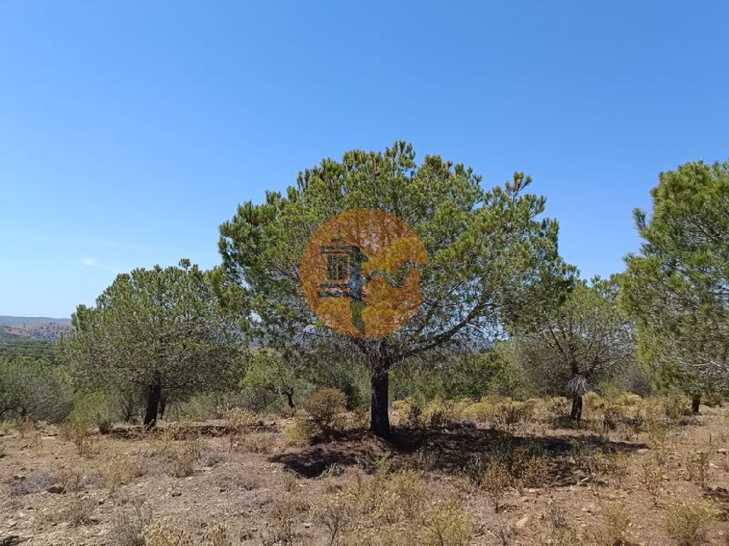  en venta terreno Odeleite Castro Marim 3