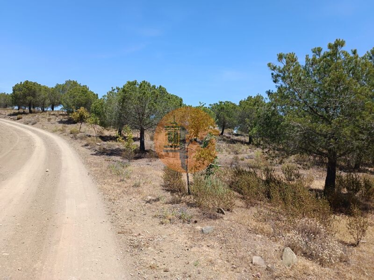  en venta terreno Odeleite Castro Marim 4