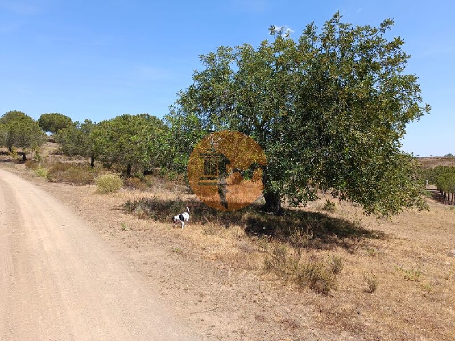  en venta terreno Odeleite Castro Marim 7