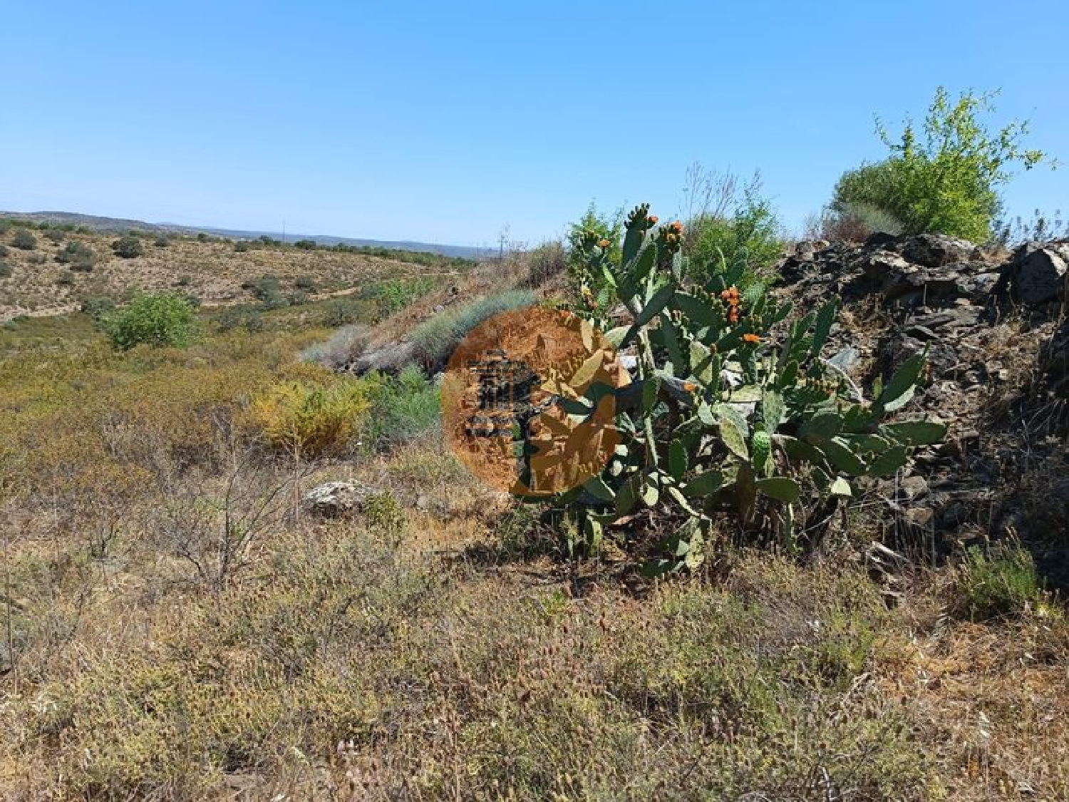 en venta terreno Odeleite Castro Marim 2
