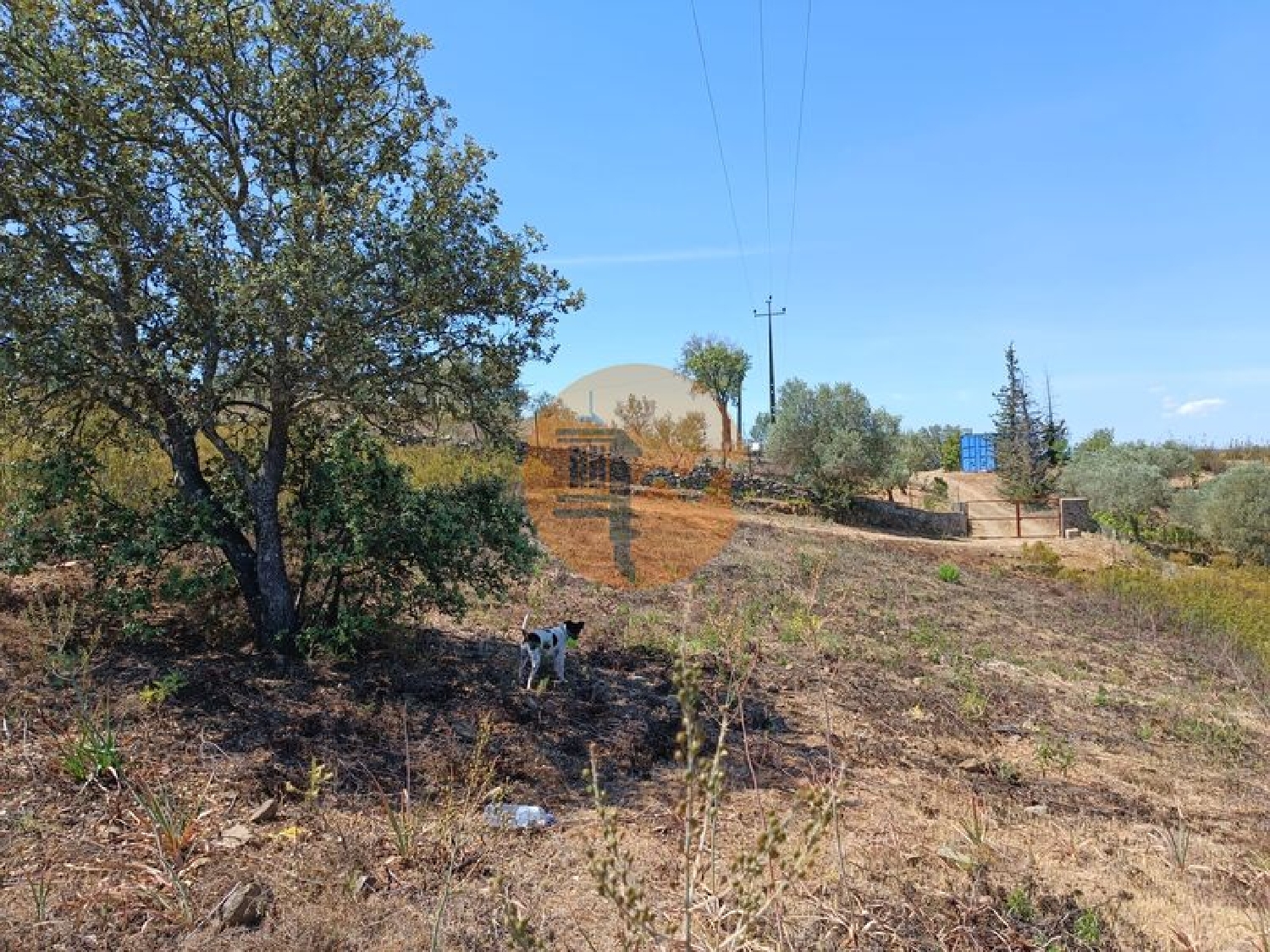 en venta terreno Odeleite Castro Marim 3