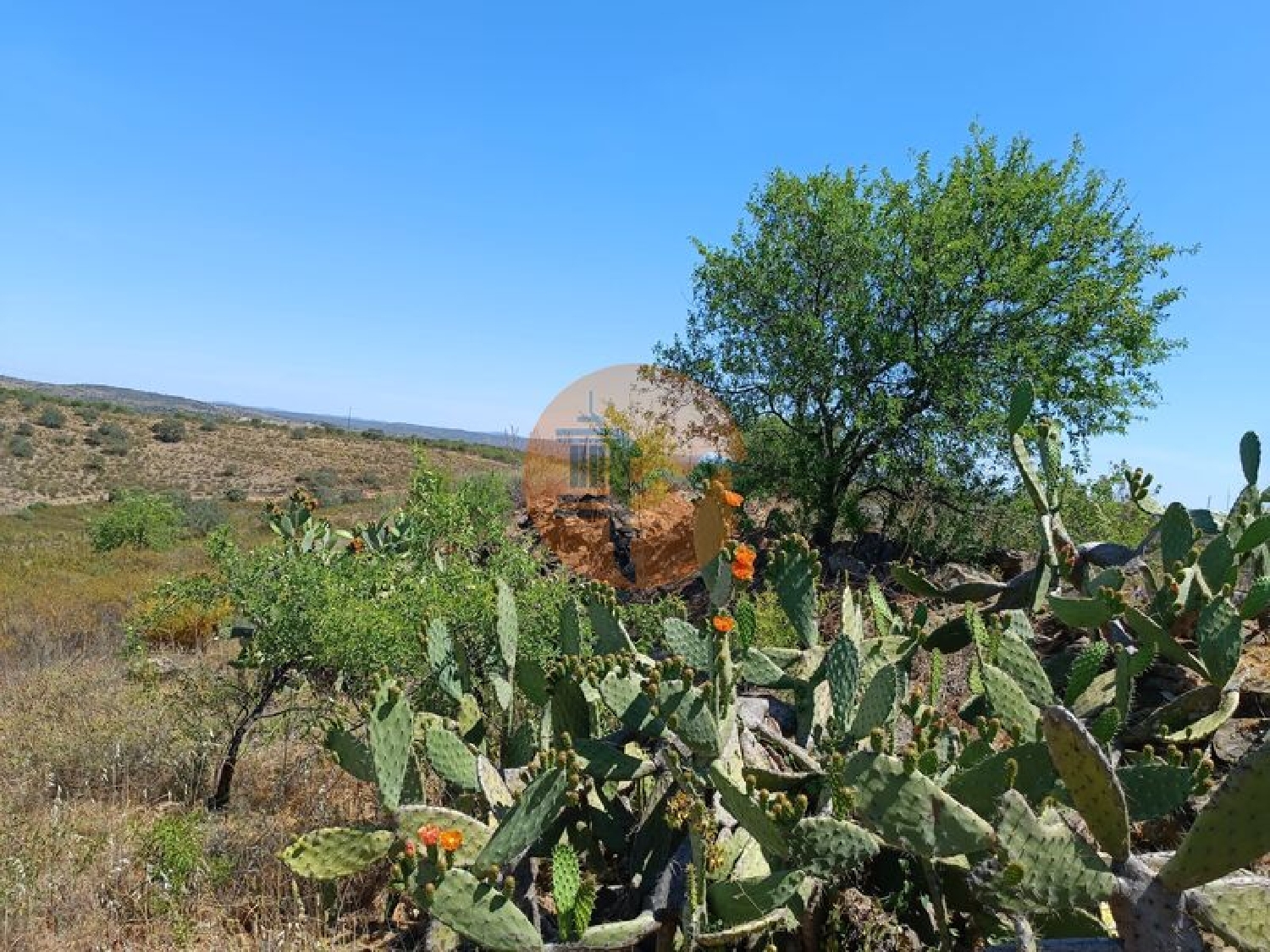  en venta terreno Odeleite Castro Marim 5