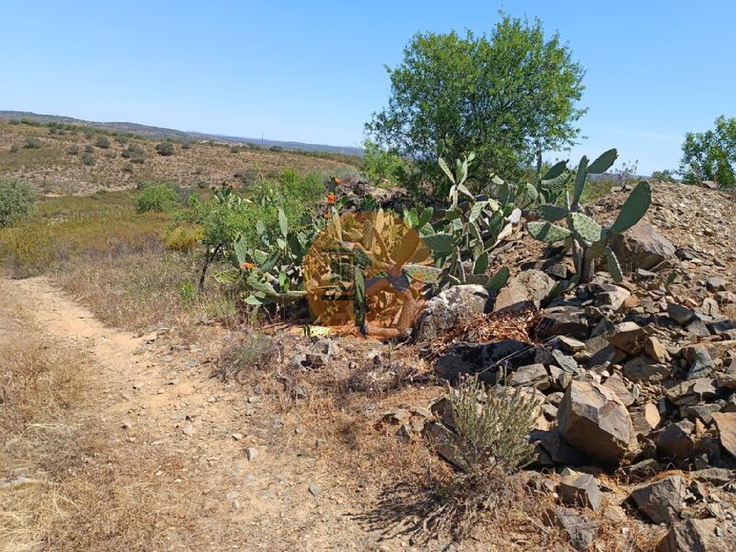  en venta terreno Odeleite Castro Marim 6