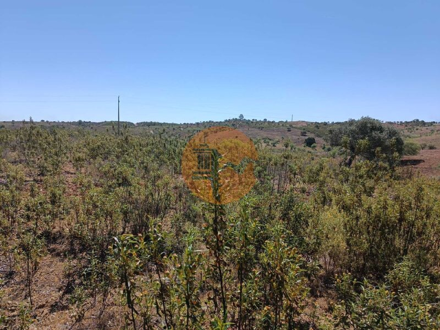  en venta terreno Odeleite Castro Marim 6