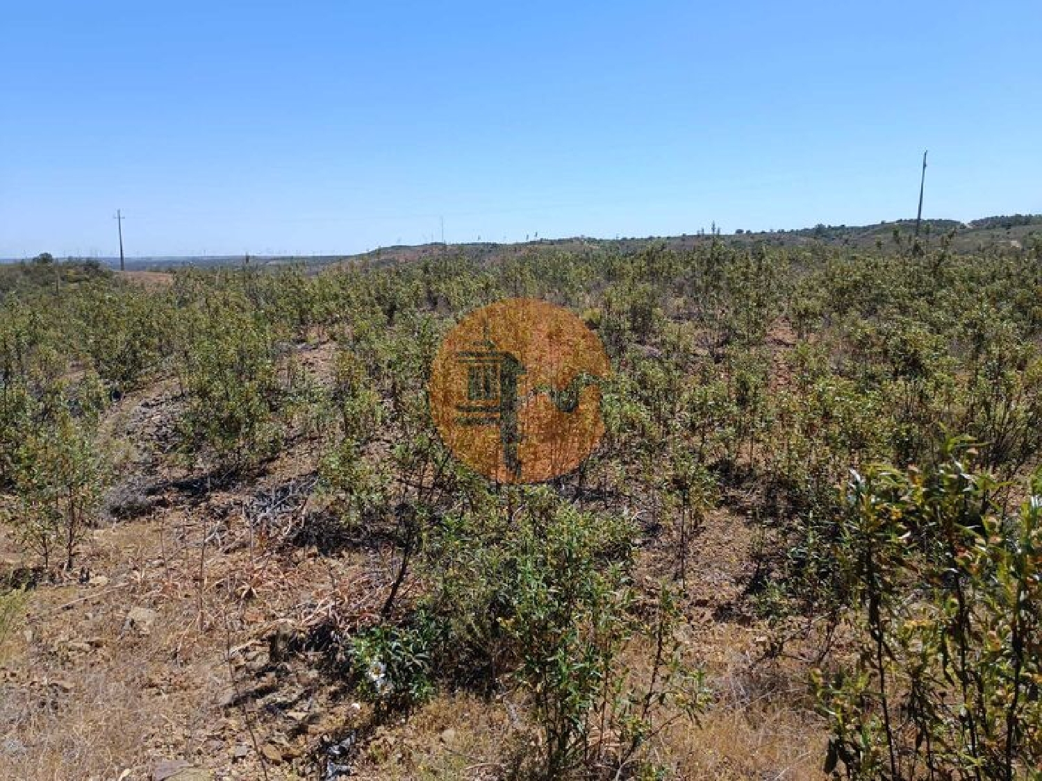  en venta terreno Odeleite Castro Marim 7
