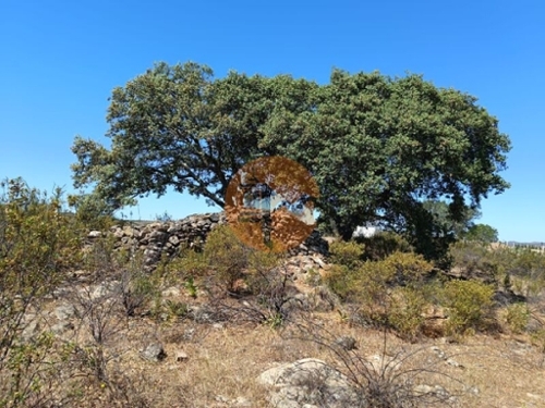 Odeleite Castro Marim terrein foto