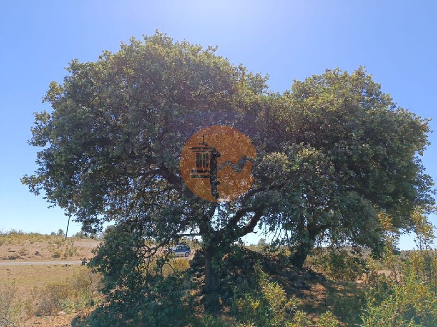 te koop terrein Odeleite Castro Marim 3
