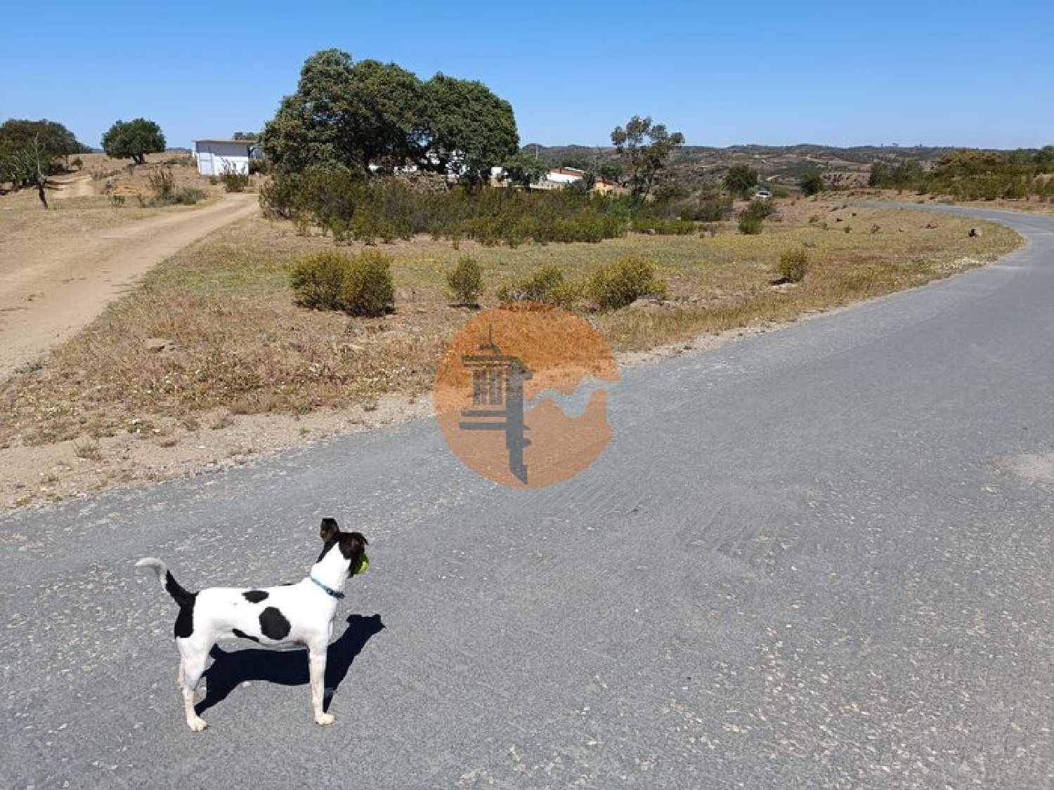  à vendre terrain Odeleite Castro Marim 4
