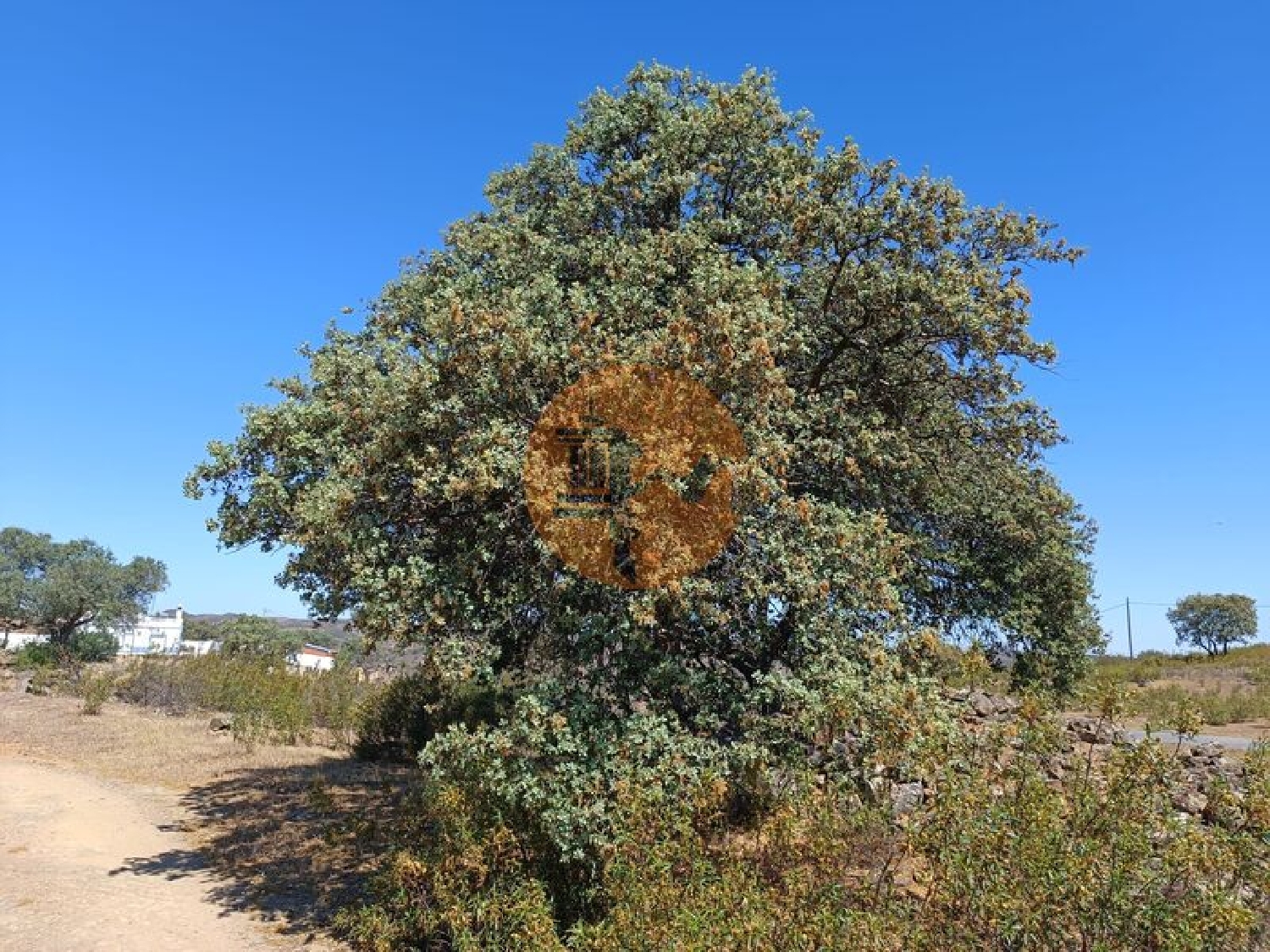 à vendre terrain Odeleite Castro Marim 5