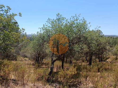 Odeleite Castro Marim 土地 foto 330374