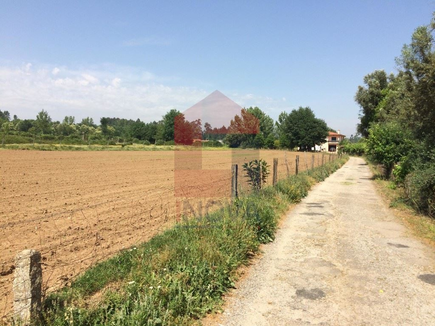  à venda terreno Oleiros Santarém 1