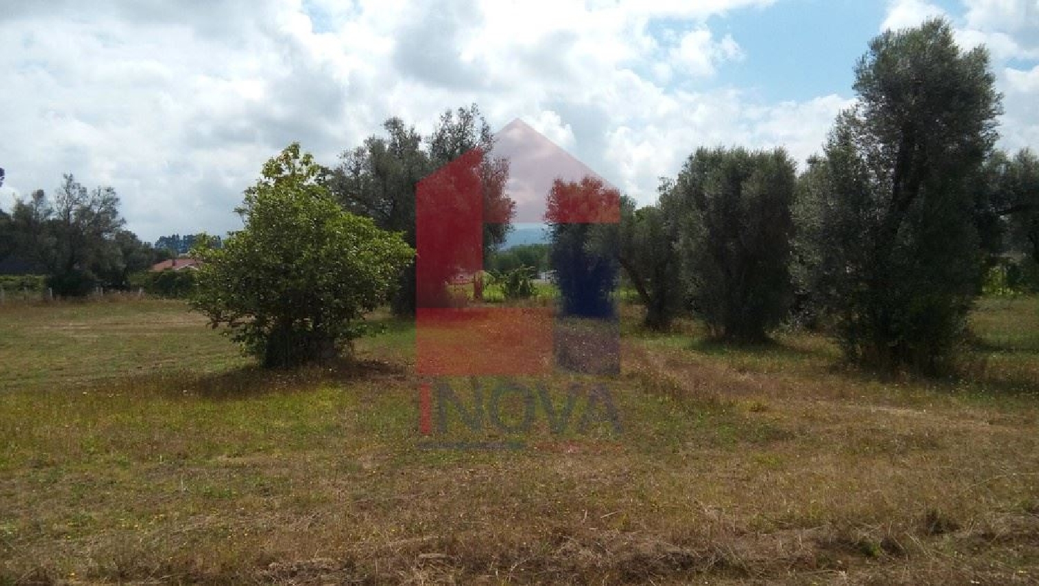  à vendre terrain Oleiros Santarém 2