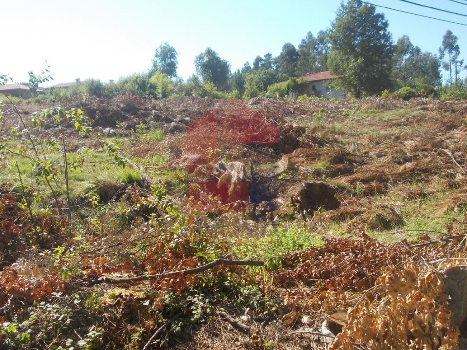 te koop terrein Oleiros Santarém 3