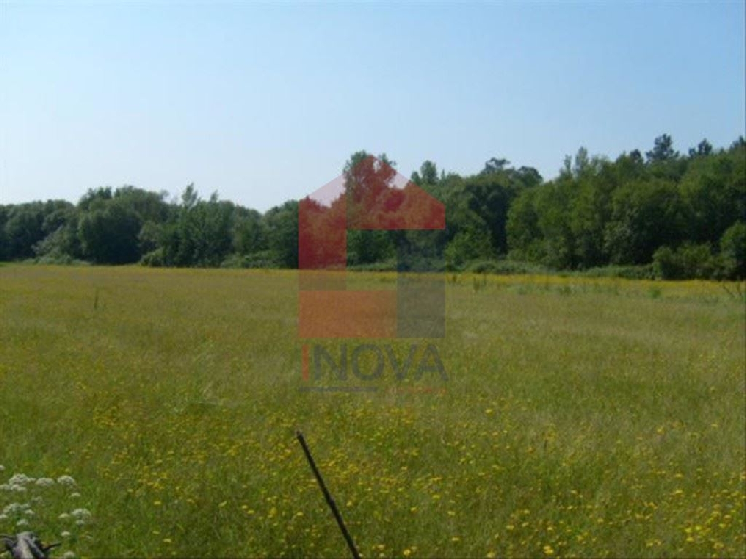  à vendre terrain Oleiros Santarém 1