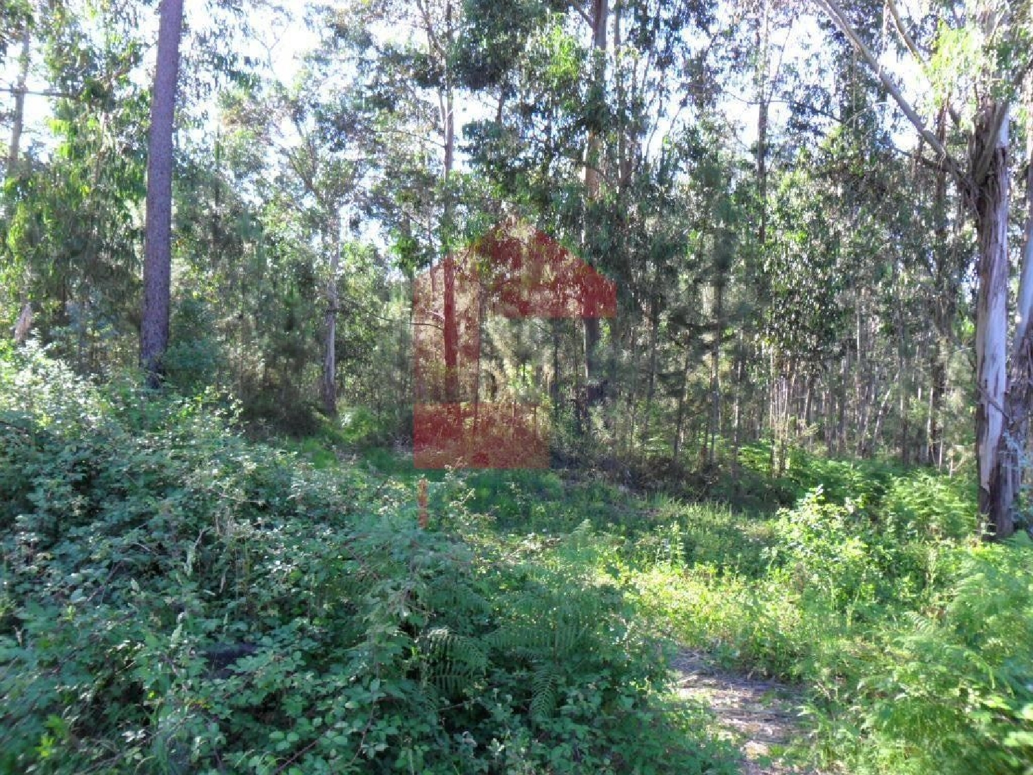 te koop terrein Oleiros Santarém 3