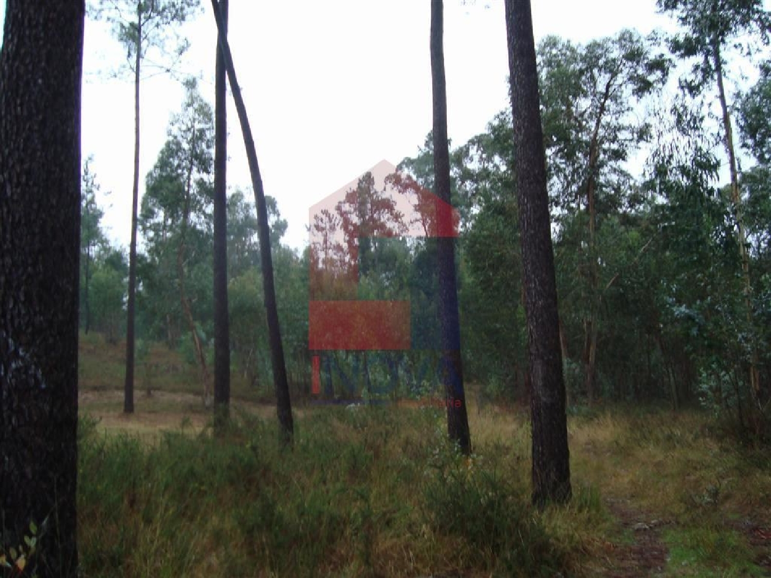  te koop terrein Oleiros Santarém 1