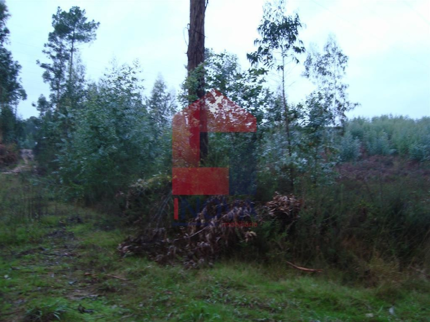 te koop terrein Oleiros Santarém 3