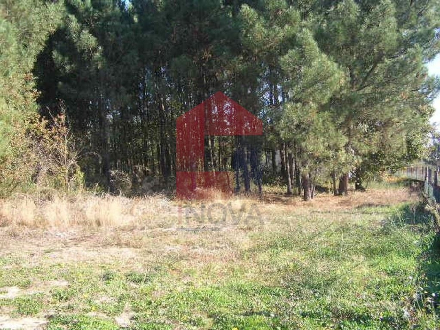  à vendre terrain Oleiros Santarém 1