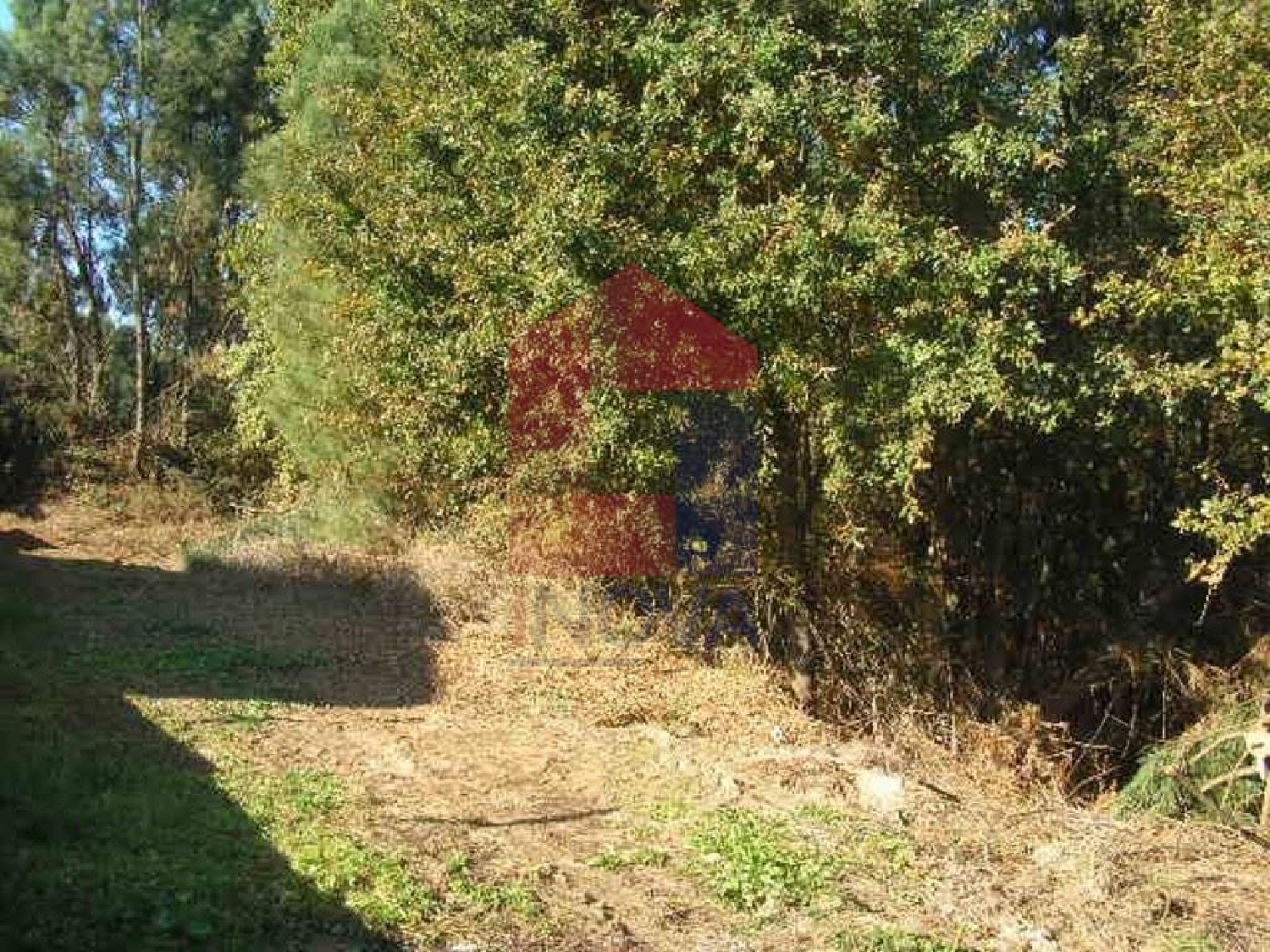 te koop terrein Oleiros Santarém 3
