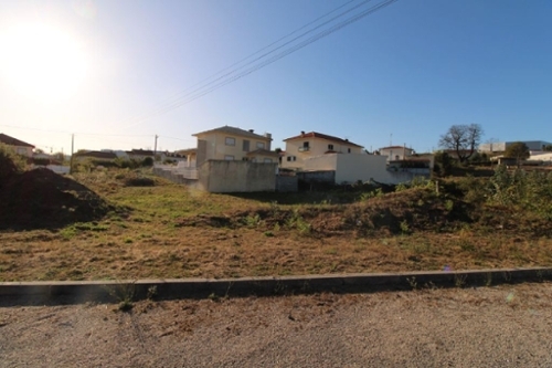 Oliveira de Frades Oliveira De Frades terrain foto 320075