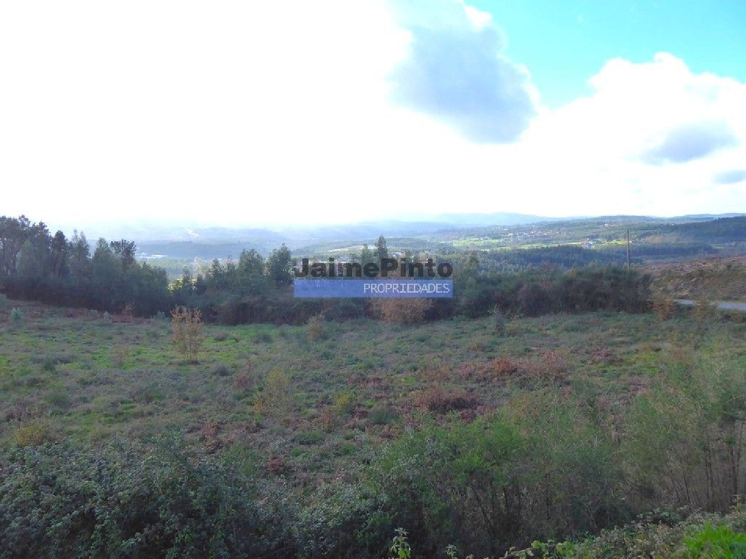 te koop terrein Oliveira de Frades Oliveira De Frades 2