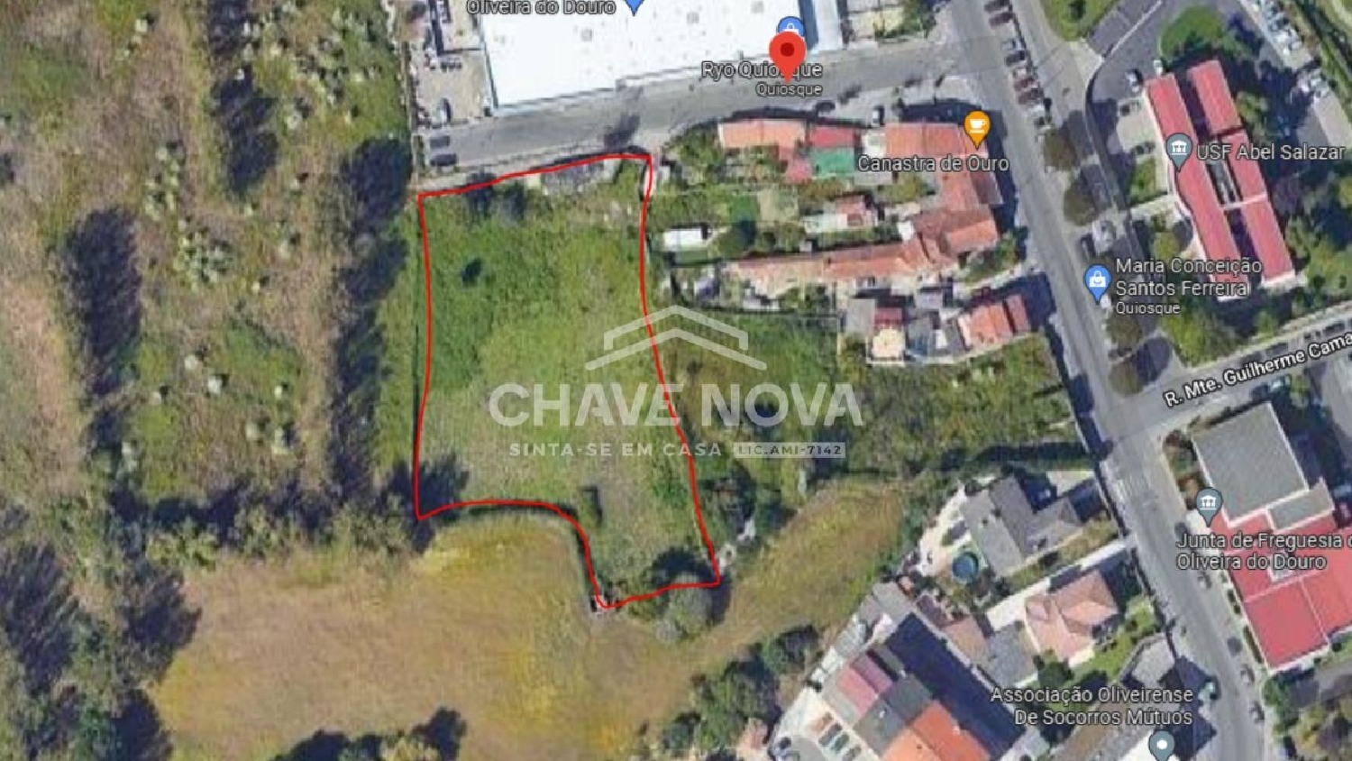 te koop terrein Oliveira do Douro Cinfães 3