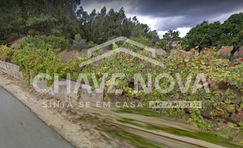 Oliveira do Bairro Oliveira Do Bairro terrein foto 327692