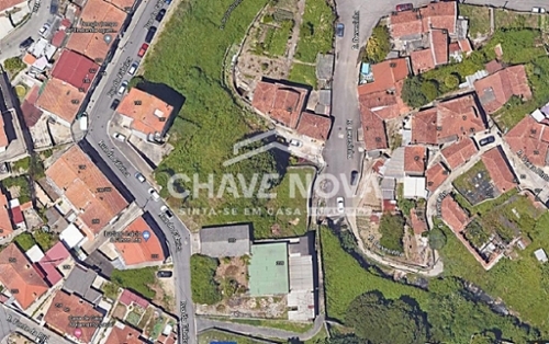 Oliveira do Douro Cinfães terrein foto 323834