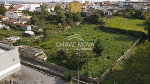 Oliveira do Douro Cinfães terrein foto 323009